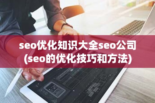 seo优化知识大全seo公司(seo的优化技巧和方法)