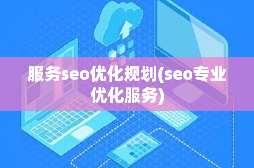 服务seo优化规划(seo专业优化服务)